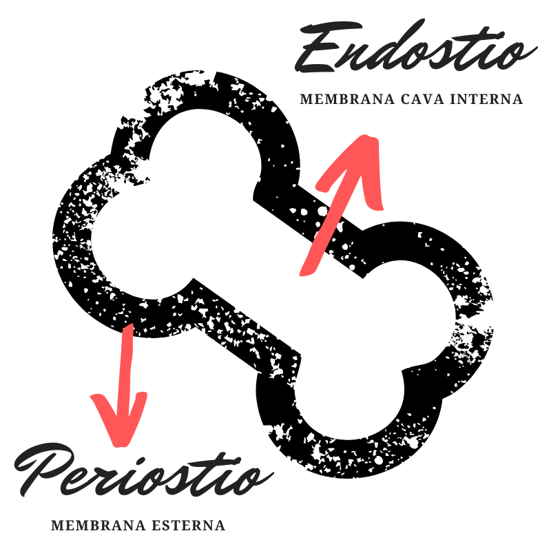osteoporosi